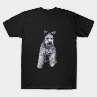 Pumi Dog T-Shirt